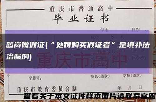 鹤岗做假证(“处罚购买假证者”是填补法治漏洞)缩略图