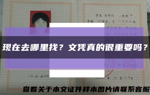现在去哪里找？文凭真的很重要吗？缩略图