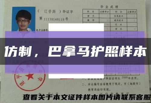 仿制，巴拿马护照样本缩略图