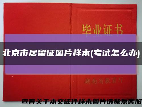 北京市居留证图片样本(考试怎么办)缩略图