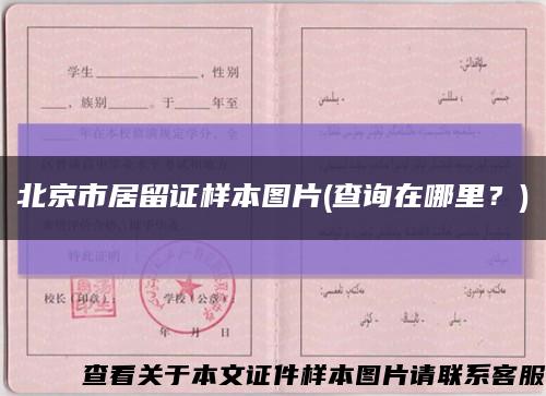 北京市居留证样本图片(查询在哪里？)缩略图
