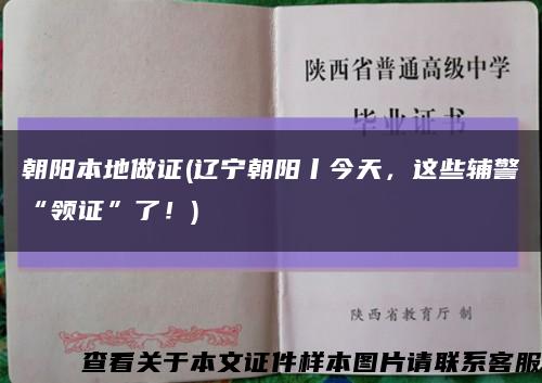 朝阳本地做证(辽宁朝阳丨今天，这些辅警“领证”了！)缩略图