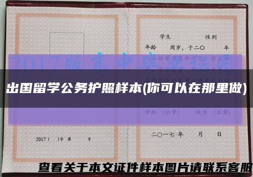 出国留学公务护照样本(你可以在那里做)缩略图