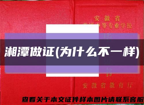 湘潭做证(为什么不一样)缩略图