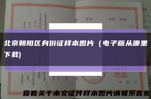 北京朝阳区身份证样本图片（电子版从哪里下载)缩略图