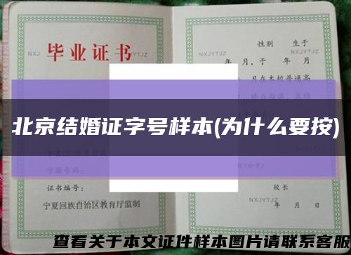 北京结婚证字号样本(为什么要按)缩略图