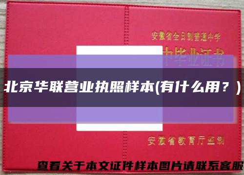 北京华联营业执照样本(有什么用？)缩略图
