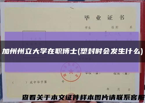 加州州立大学在职博士(塑封时会发生什么)缩略图