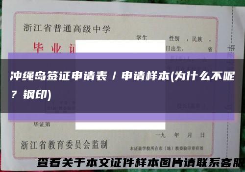 冲绳岛签证申请表／申请样本(为什么不呢？钢印)缩略图