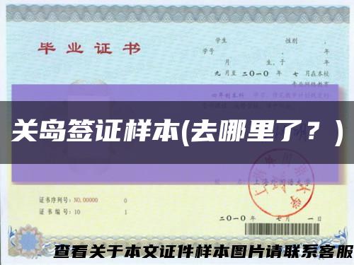 关岛签证样本(去哪里了？)缩略图