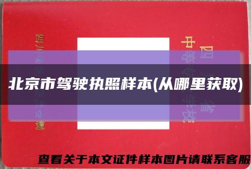 北京市驾驶执照样本(从哪里获取)缩略图