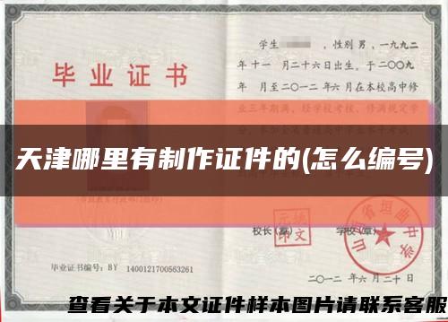 天津哪里有制作证件的(怎么编号)缩略图
