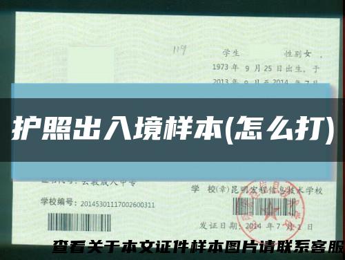 护照出入境样本(怎么打)缩略图