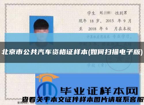 北京市公共汽车资格证样本(如何扫描电子版)缩略图