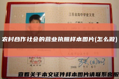 农村合作社会的营业执照样本图片(怎么做)缩略图