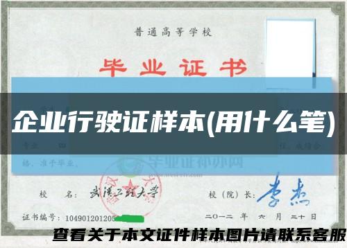 企业行驶证样本(用什么笔)缩略图