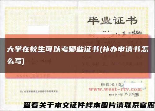 大学在校生可以考哪些证书(补办申请书怎么写)缩略图
