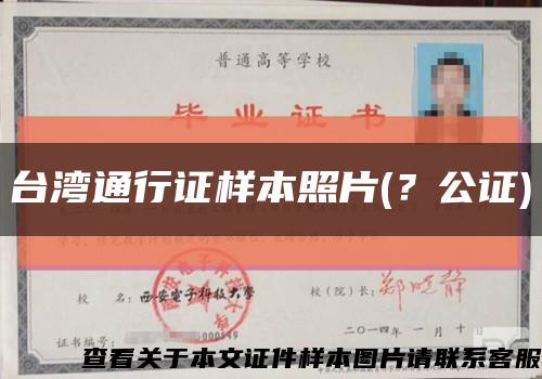 台湾通行证样本照片(？公证)缩略图