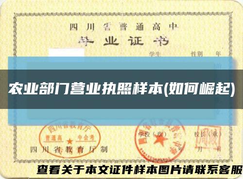 农业部门营业执照样本(如何崛起)缩略图