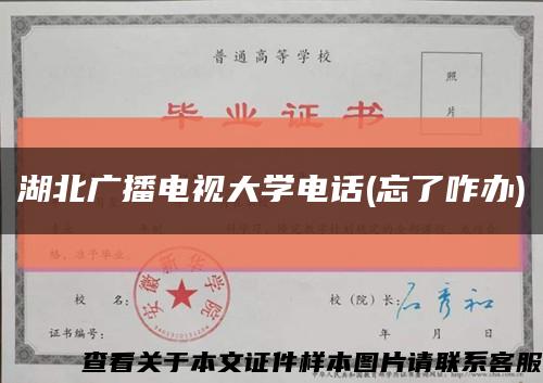 湖北广播电视大学电话(忘了咋办)缩略图