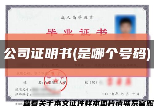 公司证明书(是哪个号码)缩略图