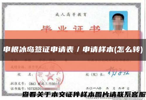 申根冰岛签证申请表／申请样本(怎么转)缩略图