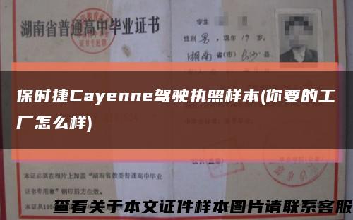 保时捷Cayenne驾驶执照样本(你要的工厂怎么样)缩略图