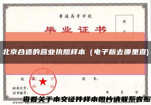 北京合适的营业执照样本（电子版去哪里查)缩略图
