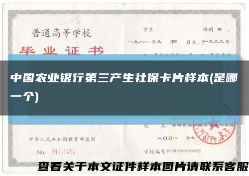 中国农业银行第三产生社保卡片样本(是哪一个)缩略图
