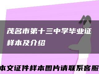 茂名市第十三中学毕业证样本及介绍缩略图