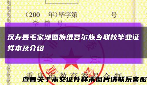 汉寿县毛家滩回族维吾尔族乡联校毕业证样本及介绍缩略图