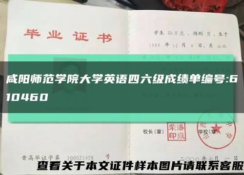 咸阳师范学院大学英语四六级成绩单编号:610460缩略图