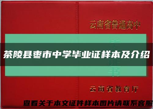 茶陵县枣市中学毕业证样本及介绍缩略图