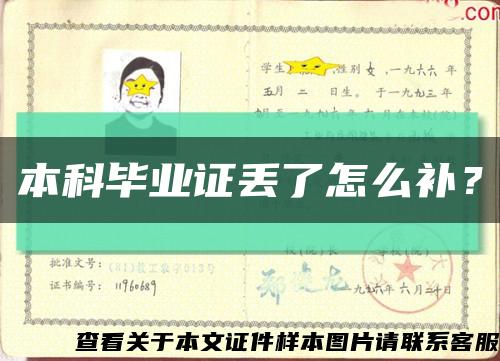 本科毕业证丢了怎么补？缩略图