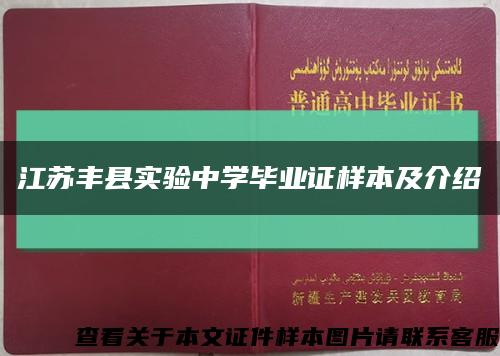 江苏丰县实验中学毕业证样本及介绍缩略图