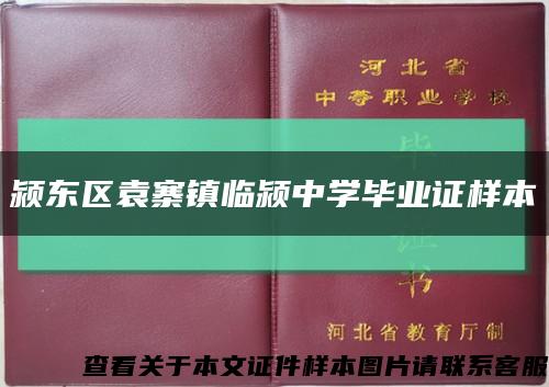 颍东区袁寨镇临颍中学毕业证样本缩略图