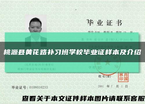 桃源县黄花路补习班学校毕业证样本及介绍缩略图