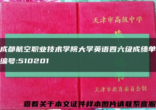 成都航空职业技术学院大学英语四六级成绩单编号:510201缩略图