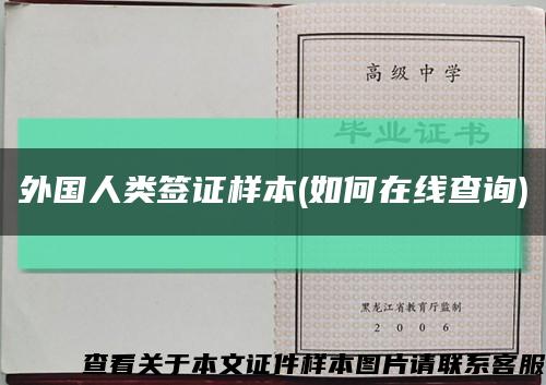 外国人类签证样本(如何在线查询)缩略图