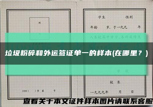 垃圾粉碎和外运签证单一的样本(在哪里？)缩略图