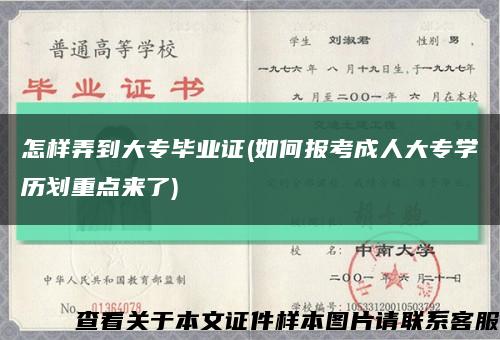 怎样弄到大专毕业证(如何报考成人大专学历划重点来了)缩略图