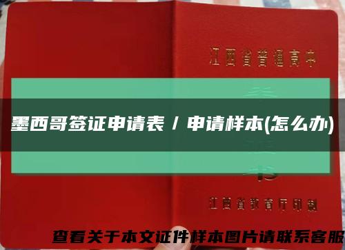 墨西哥签证申请表／申请样本(怎么办)缩略图