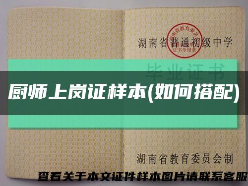 厨师上岗证样本(如何搭配)缩略图