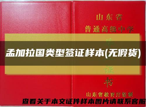 孟加拉国类型签证样本(无假货)缩略图