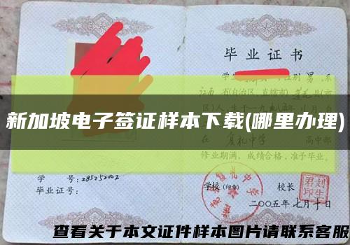 新加坡电子签证样本下载(哪里办理)缩略图