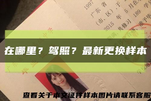 在哪里？驾照？最新更换样本缩略图