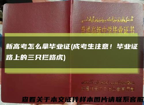 新高考怎么拿毕业证(成考生注意！毕业证路上的三只拦路虎)缩略图