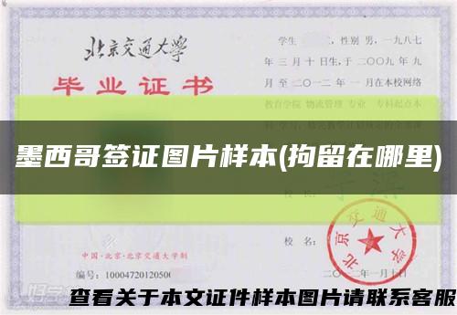 墨西哥签证图片样本(拘留在哪里)缩略图