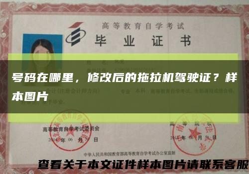 号码在哪里，修改后的拖拉机驾驶证？样本图片缩略图