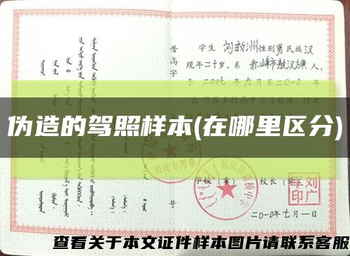 伪造的驾照样本(在哪里区分)缩略图